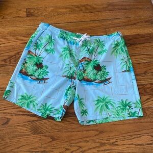 Lost Board Shorts Men’s size XL